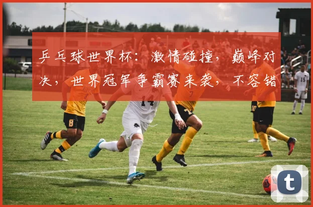 乒乓球世界杯：激情碰撞，巅峰对决，世界冠军争霸赛来袭，不容错过