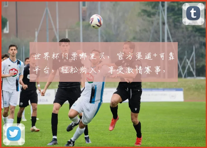 世界杯门票哪里买，官方渠道+可靠平台，轻松购入，享受激情赛事，错过等一年